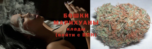 шишки Елизово