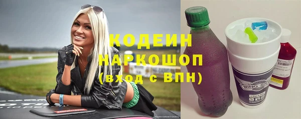 шишки Елизово