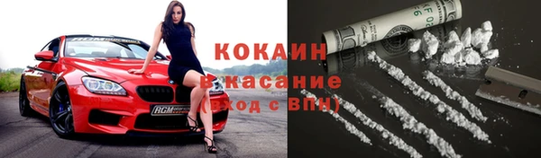 шишки Елизово