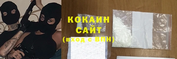 шишки Елизово