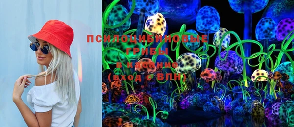 шишки Елизово
