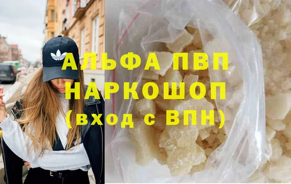 шишки Елизово