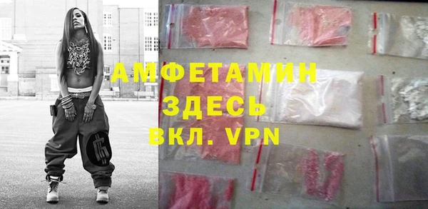 шишки Елизово